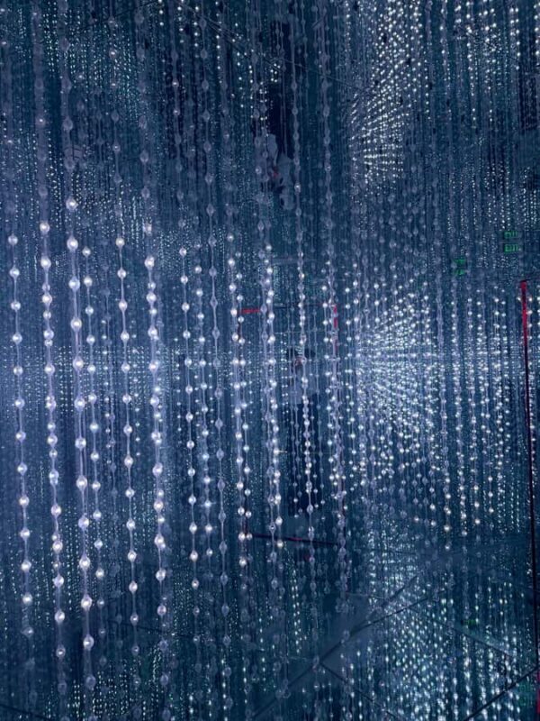 Saigon City Sightseeing: Bitexco, Starry Museum, Water Bus - The Sum Up