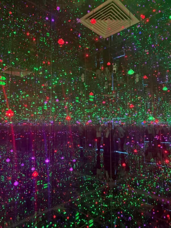 Saigon City Sightseeing: Bitexco, Starry Museum, Water Bus - A Deep Dive into the Tour Experience