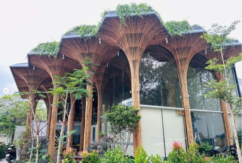 Saigon Coffee & Beverage Journey Half Day Trip - Who Will Love This Experience?