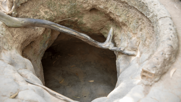 Saigon: Discover Cu Chi Tunnels & Ben Dinh - Important Travel Tips