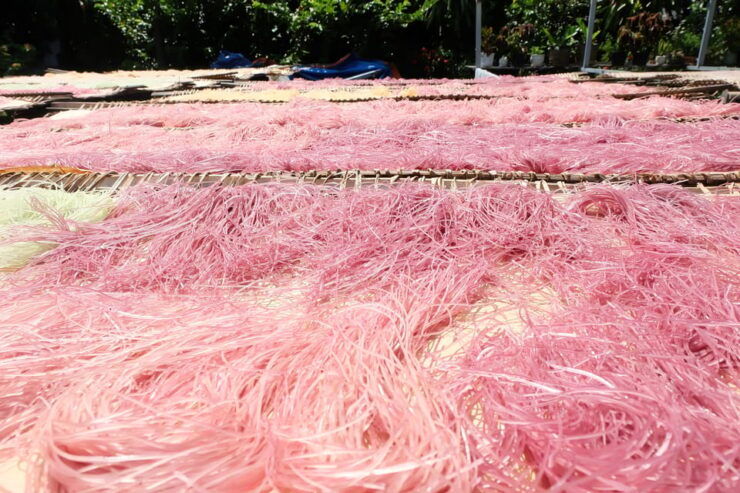 Saigon: Hightlights in Authentic Mekong Delta - 2D1N Tour - Good To Know
