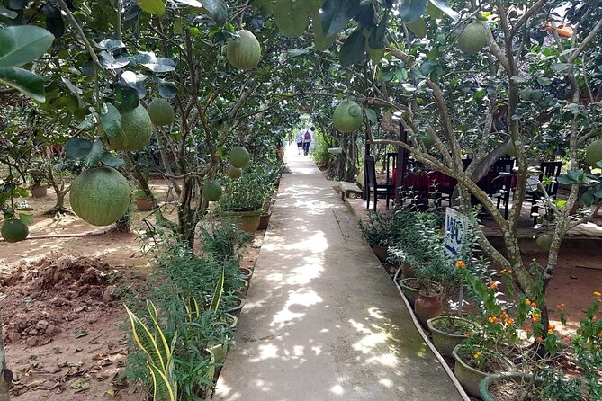 Saigon: Mekong Delta Day Cruise - Review 3