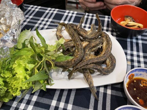 Saigon: Night Craft Beer and Street Food Tour By Vespa - Craft Beer Tasting and Local Food Experience