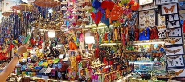 SAIGON SHORE EXCURSION: Car Services + LOCAL TOUR GUIDE - Booking Process