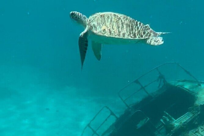 Sail and Snorkel Private Charter - Mid-Day Sail 1230pm to Sunset - An In-Depth Look at the Experience