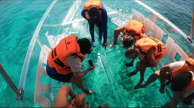 Sail around cancun in the best transparent boat + 2 drinks - A Deeper Look at the Experience