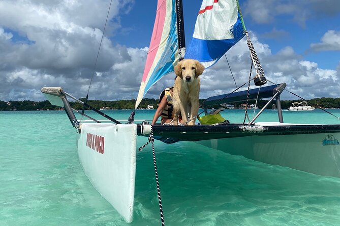 Sail Away! Hobie Cat Tour in the Lagoon - Accessibility Information