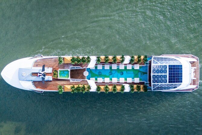 Sail Halong Bay in Luxury Dolphin Day Cruise with Panoramic Views - Good To Know