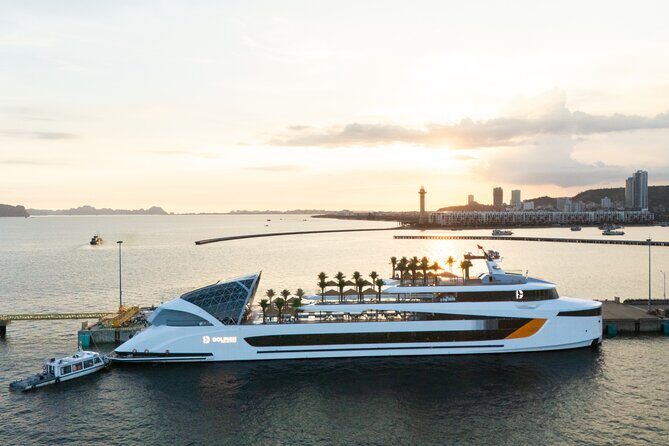 Sail Halong Bay in Luxury Dolphin Day Cruise with Panoramic Views - A Deep Dive into the Luxury Dolphin Day Cruise