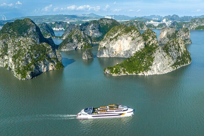 Sail Halong Bay in Luxury Dolphin Day Cruise with Panoramic Views - An Overview of the Experience