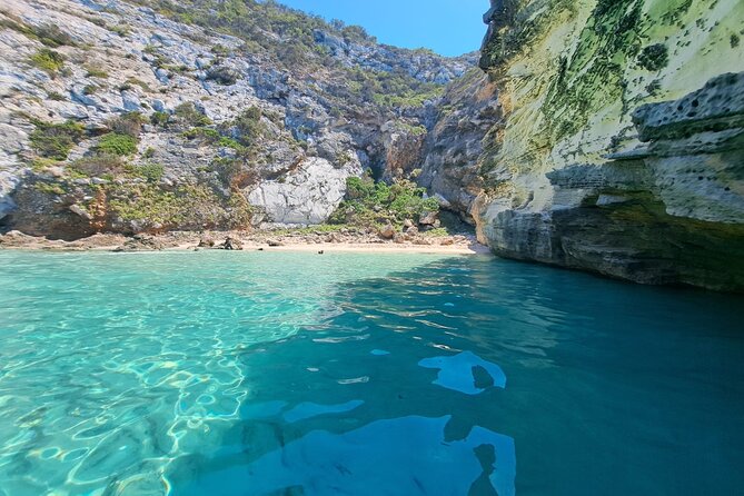 Sail Ibiza Formentera Enjoy a Swim in Paradisiacal Coves - Pricing and Booking Details for the Sail Ibiza Formentera Experience