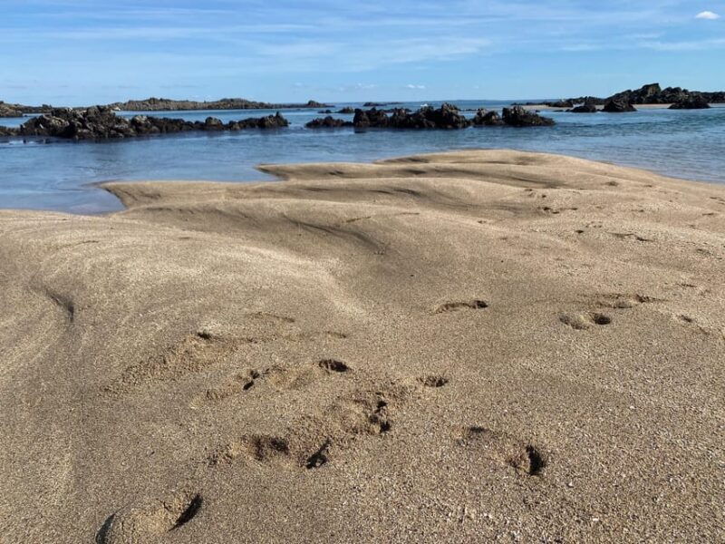 Sail Into the Heart of the Bay - Good To Know
