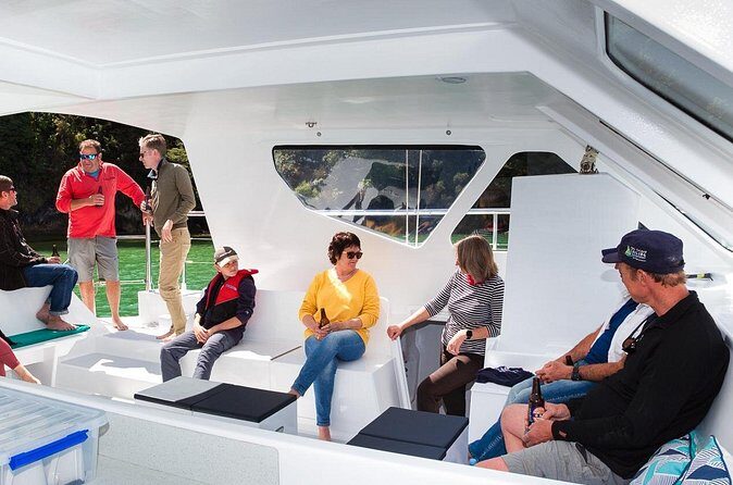 Sail, Seals, and Walk Tour in Abel Tasman - Who Will Love This Experience?