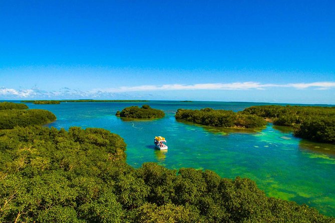 Sail, Snorkel, Kayak, Dolphins, and Lunch With Honest Eco - Itinerary