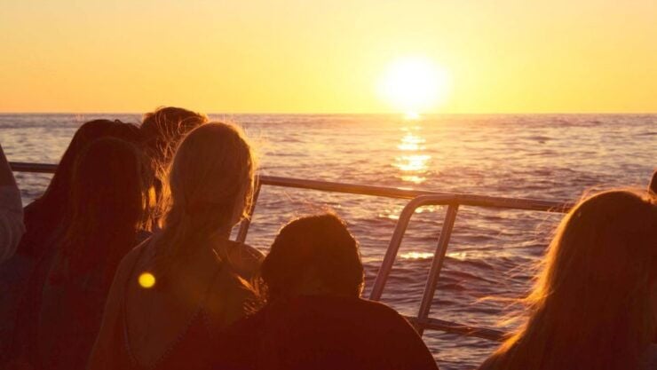 Sail & Swim off Clifton - Booking Information
