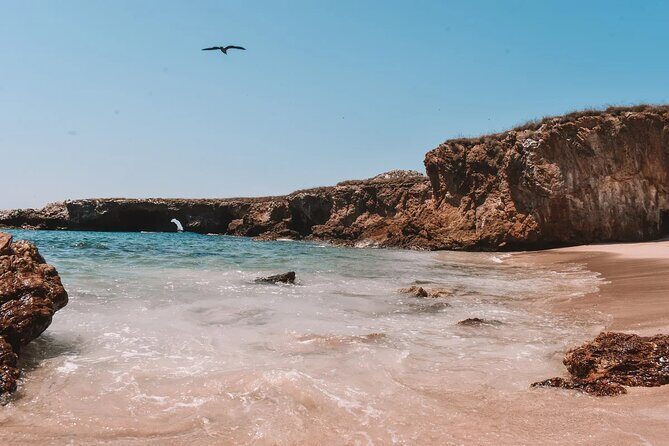 Sail to Playa Escondida in Puerto Vallarta with Food and Snorkeling - Final Thoughts