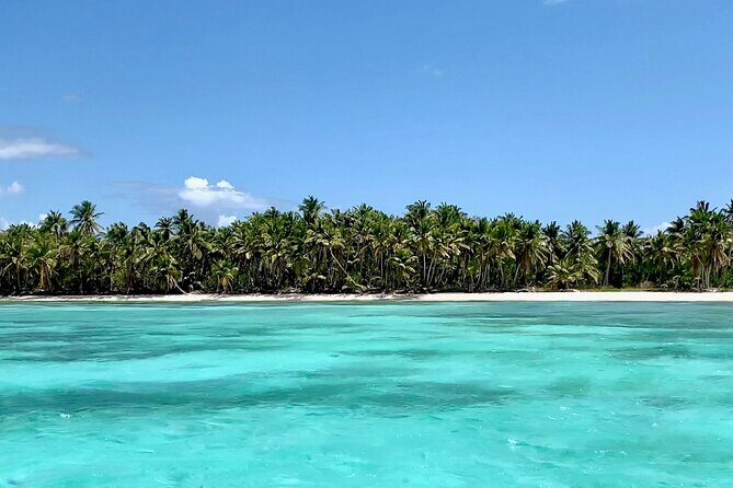 Sail to Saona Peaceful Escape by Catamaran - Who Is This Tour Perfect For?