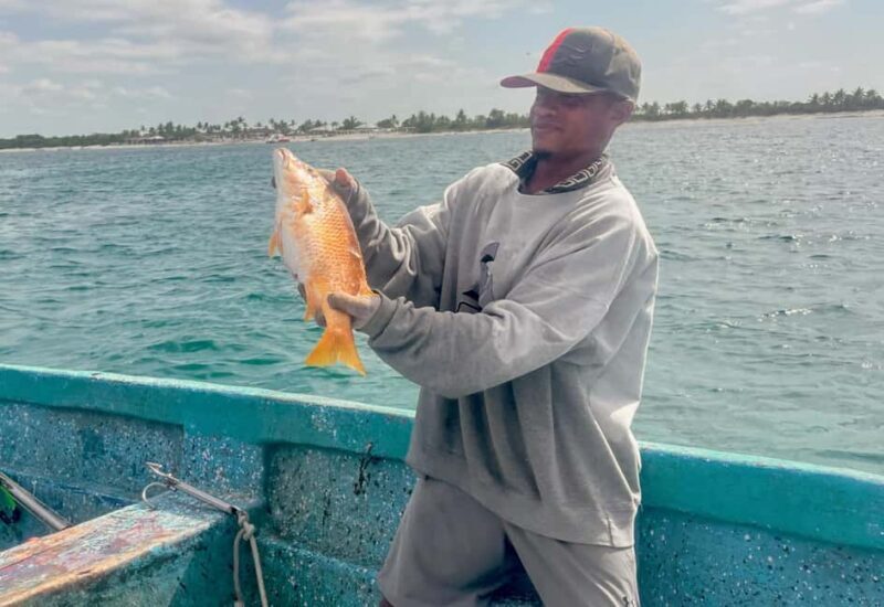 Sail tour to Catalina Island from La Romana - FAQ