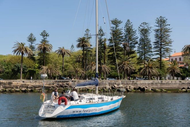 Sailboat Douro River Cruise With Cheese & Tonic Porto - Meeting Point and Accessibility