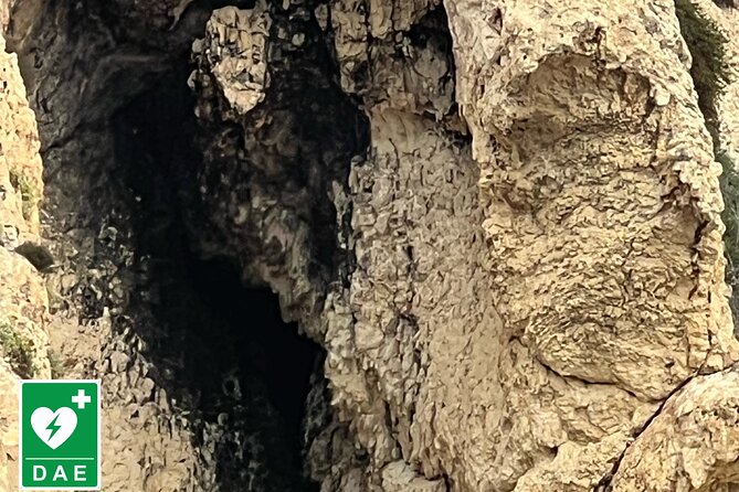 Sailboat Excursion to the Devils Saddle - Common Questions