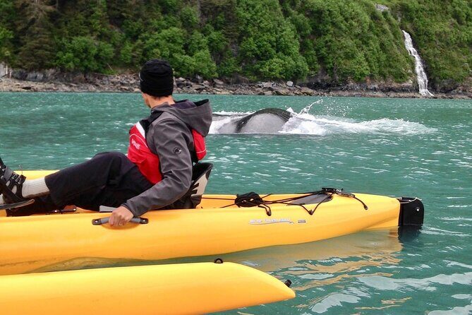 Sailing Alaska's Inside Passage 4 Day Private Tour - Exploring the Sailing Alaskas Inside Passage 4 Day Private Tour