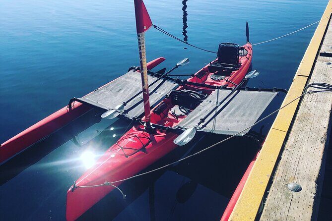 Sailing Alaska's Inside Passage 4 Day Private Tour - An Intimate, Flexible Alaska Sailing Experience