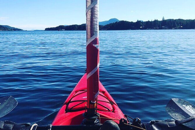 Sailing Alaska's Inside Passage 4 Day Private Tour - Who Would Love This Tour?