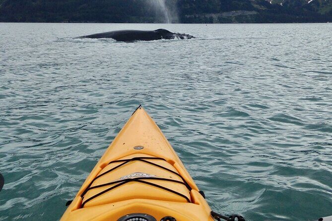 Sailing Alaska's Inside Passage 4 Day Private Tour - Final Thoughts