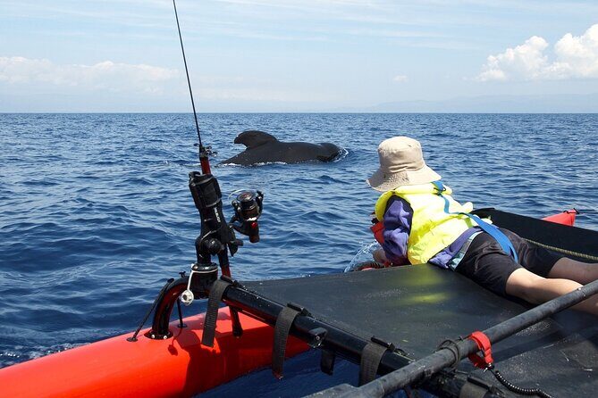 Sailing Alaska's Inside Passage 4 Day Private Tour - Frequently Asked Questions