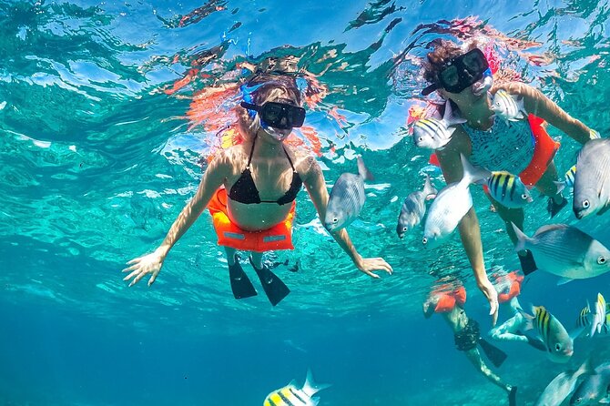 Sailing All Inclusive Experience in Catamaran to Isla Mujeres - Comfortable Catamaran Experience