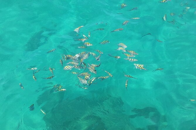 Sailing and Snorkeling Experience With Lunch From San Juan - Booking and Cancellation Policy