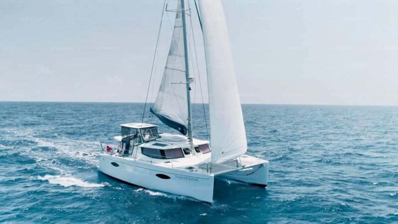 Sailing and Whale Watching in East Coast Sri Lanka! - The Sum Up