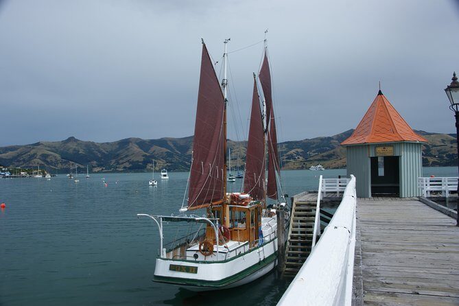 Sailing and Wildlife Tour Akaroa Fox II Sailing - The Experience’s Practical Aspects