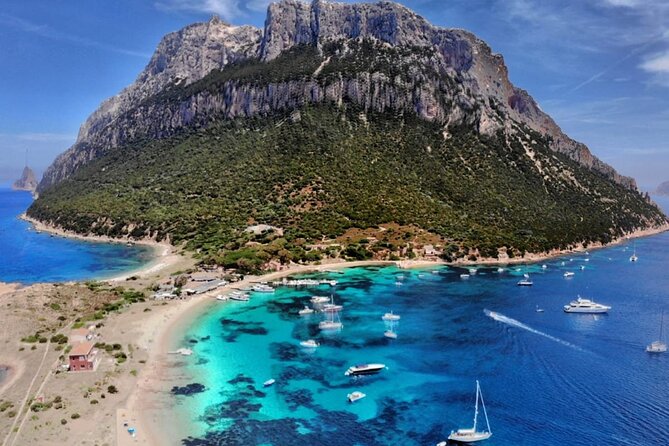 Sailing Boat Tour From S. Teodoro-Puntaldia to Tavolara, Molara - Happy Passengers and Enjoyable Atmosphere