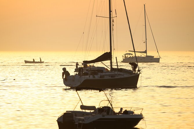 Sailing Boat With Dolphin Watching From Puerto Banús Marbella - Pricing and Terms