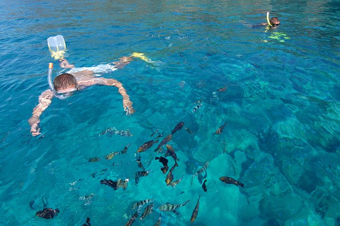 Sailing Catamaran Cruises - Booking and Contact Information