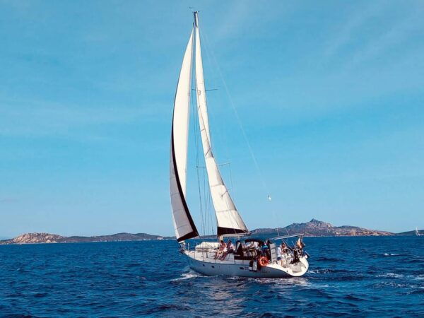Sailing Day in Tavolara and Molara - Booking and Reservation Process