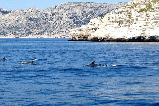 Sailing Day in the Heart of the Calanques - Additional Information