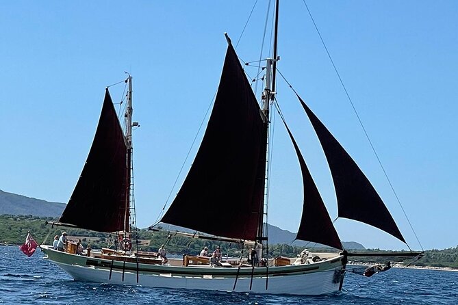 Sailing Day Trip on Tall Ship Andrea Jensen With Lunch and Wine - Additional Information