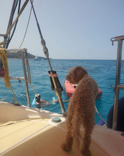 Sailing Excursions in Saint-Florent - Activity Details