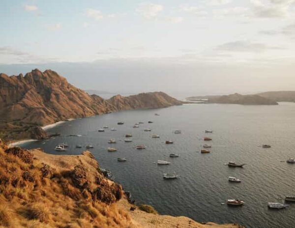 SAILING KOMODO OPEN TRIP 3 DAY 2 NIGHT - Questions You May Have