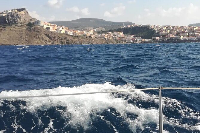 Sailing, swimming, snorkeling, & relaxing in Castelsardo, Sardinia - The Swimming and Relaxation Experience