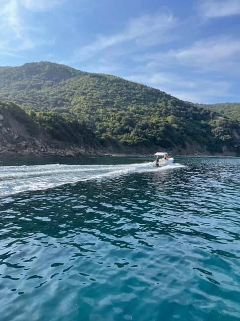 Sailing the Cilento coast: adventure, and serenity - Exploring the Cilento Coast: What This Tour Offers