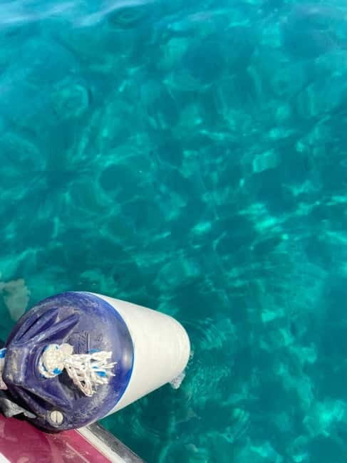 Sailing the Cilento coast: adventure, and serenity - Authentic Experiences and Guest Feedback