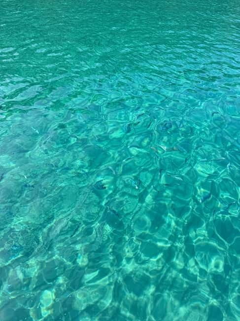 Sailing the Cilento coast: adventure, and serenity - How This Experience Compares in Value