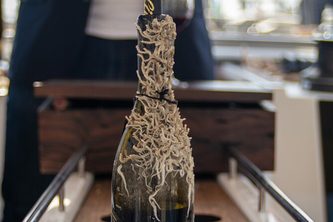 Sailing Tour and Tasting of Submarine Wines on Board - Overview and Logistics