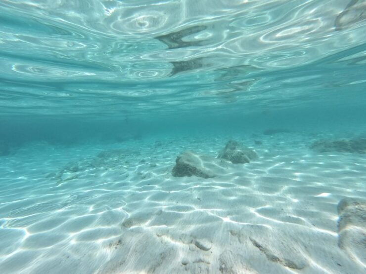 Sailing Tour From Hvar Town - Activity Inclusions