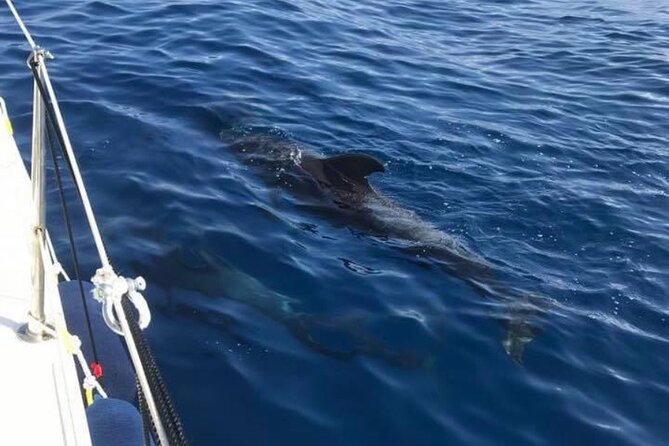 Sailing Yacht on a Private Charter - Snorkeling Option