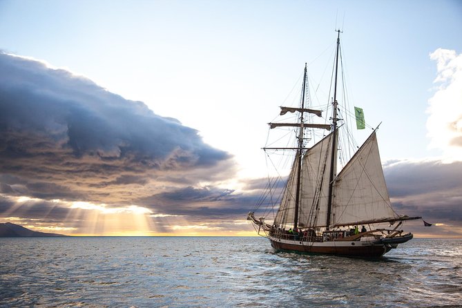 Sails, Lights & Winter Nights From Reykjavík - Cancellation Policy