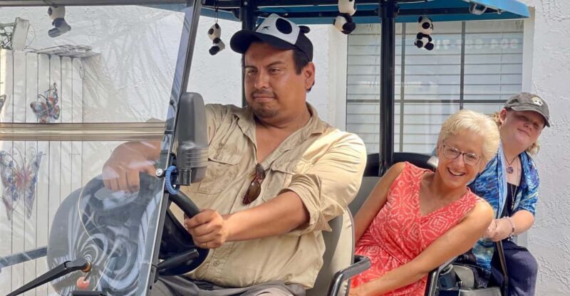 Saint Augustine: Outdoor Art Tour by Electric Golf Cart - Analyzing the Experience: Why This Tour Matters